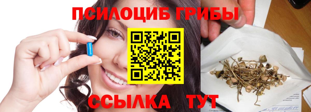 Мытищи  Галлюциногенные грибы Cubensis  Вход с VPN 